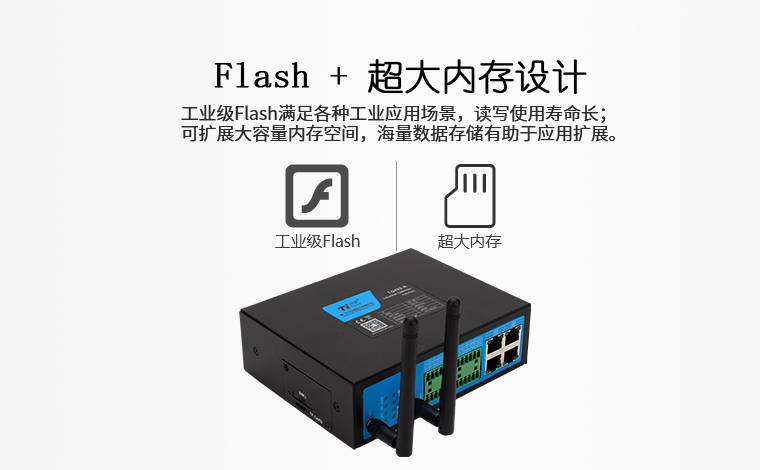 Flash + 超大内存设计
